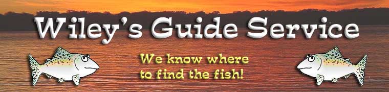 Wiley's Guide Service logo